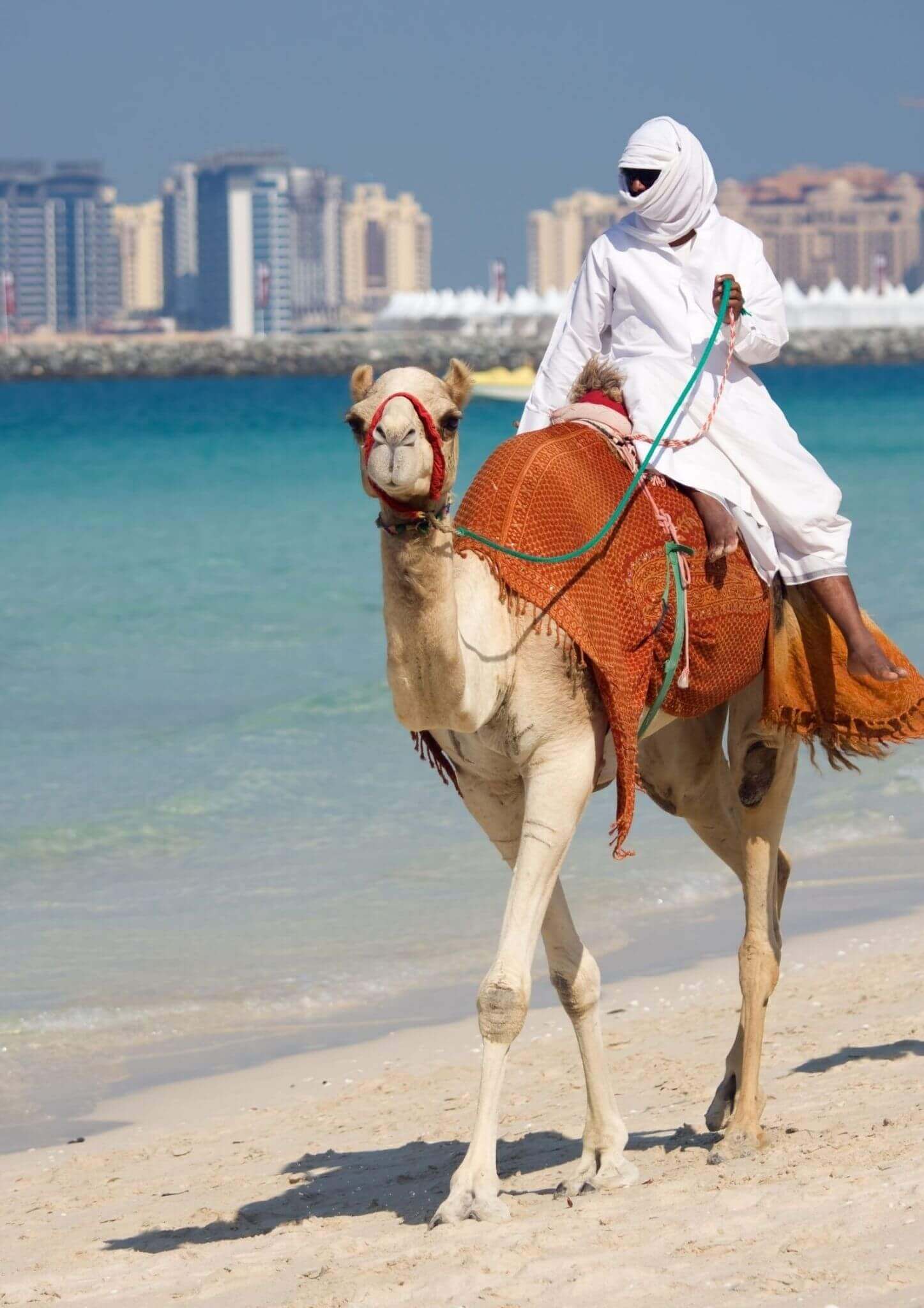 Arabian riding a horse in UAE beach