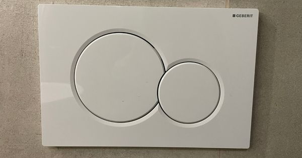 toilet buttons